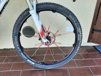 Used SCAPIN Scapin Murdok 26' In Carbonio 2012 Mountainbike, White — image 5 of 8