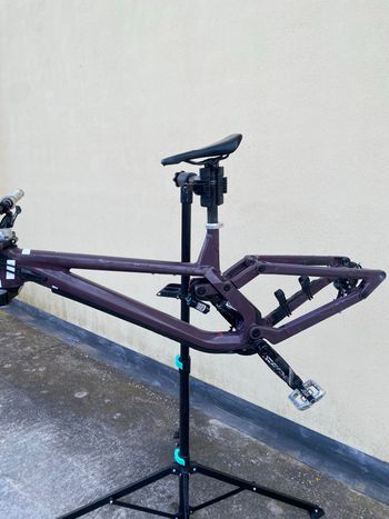 Rose, Scrub DC 1 2025 Frameset