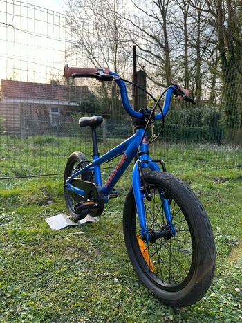 Cannondale, Kids Trail Single-Speed 16 Boy's 2021