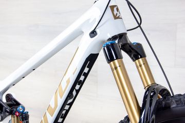 Used Pivot Firebird Pro 2025 Mountainbike, White, 29 — image 13 of 20