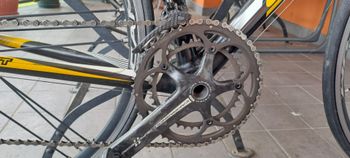 Used Scott Addict Campagnolo Super Record 2009 Road & Gravel, Black — image 4 of 7