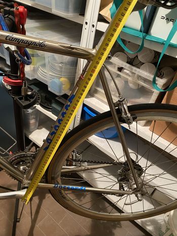 Used Daccordi Daccordi Custom Campagnolo Record 1989 Road & Gravel, Light Gray — image 19 of 19