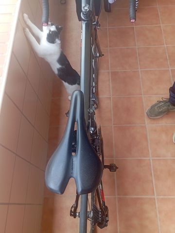 Colnago Custom Shimano Ultegra Di2 2019 Road & Gravel usato, Nero — immagine 5 di 9