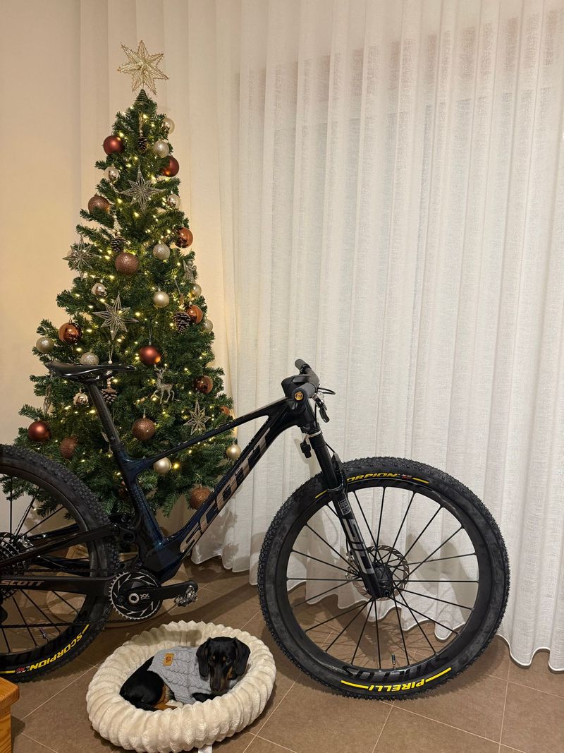 Used Scott Spark RC SL 2025 Frameset 2025 Mountainbike, Blue, 29 — image 2 of 3