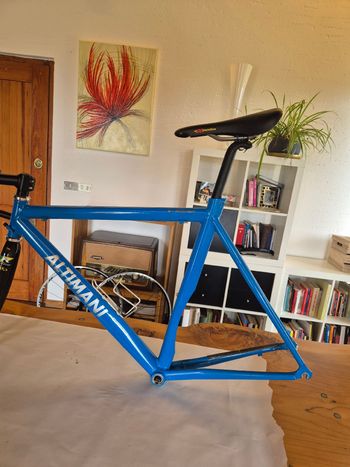 Used altimani Altimani Custom Frameset 2000 Road & Gravel, Blue — image 2 of 46