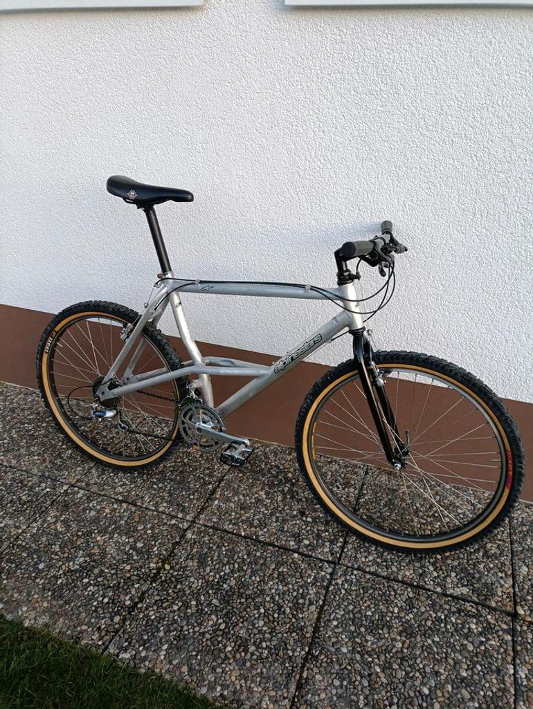Used Alpinestars Alpinestars Almega 1991 Mountainbike, Hellgrau — image 1 of 15