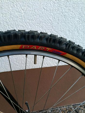 Used Alpinestars Alpinestars Almega 1991 Mountainbike, Hellgrau — image 10 of 15
