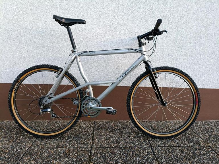 Used Alpinestars Alpinestars Almega 1991 Mountainbike, Hellgrau — image 2 of 15