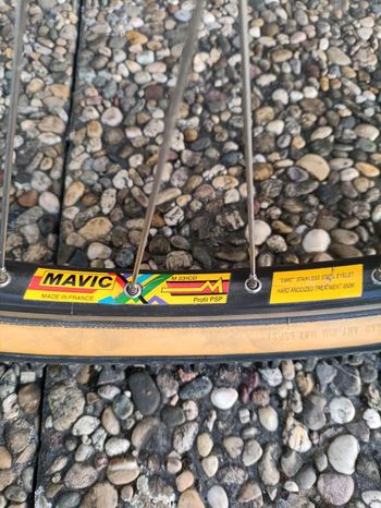 Used Alpinestars Alpinestars Almega 1991 Mountainbike, Hellgrau — image 7 of 15