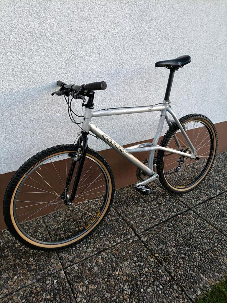 Used Alpinestars Alpinestars Almega 1991 Mountainbike, Hellgrau — image 12 of 15
