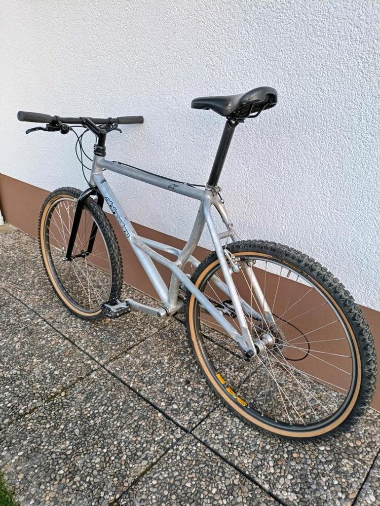 Used Alpinestars Alpinestars Almega 1991 Mountainbike, Hellgrau — image 13 of 15