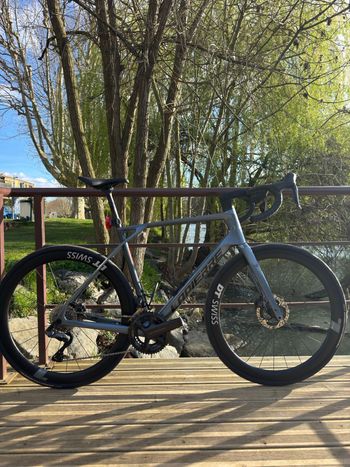 Lapierre, Pulsium 8.0 2025