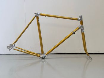 Alan, Alan Competizione