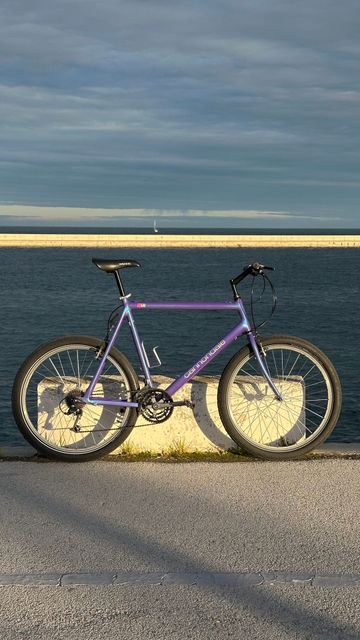 Cannondale Custom Other Shimano - Mountainbike 1993 Urban & Touring usato