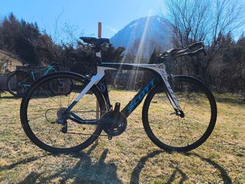 Scott, Plasma 10 2018
