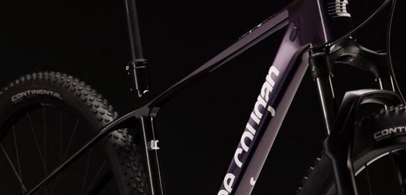 Gebrauchtes Lee Cougan Rampage 428 Comp 2025 Frameset 2025 MTB