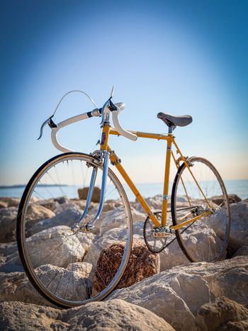 Vitus, Vitus Custom Single Speed / Fixed Gear