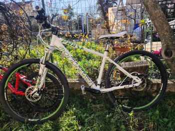Mondraker, Mondraker Custom Shimano Altus