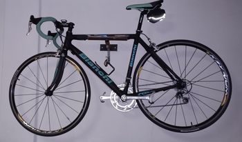 Bianchi, Full Carbon XL 2006