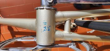 Used Frejus Campione 1947 1967 Road & Gravel, Green — image 3 of 16