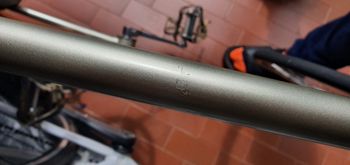 Used Frejus Campione 1947 1967 Road & Gravel, Green — image 2 of 16