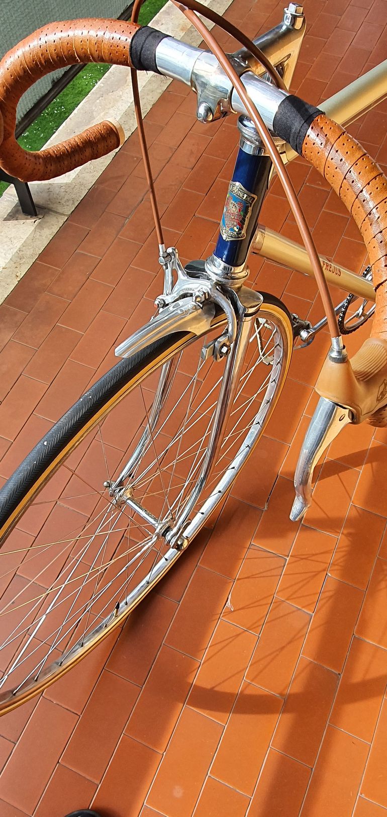 Used Frejus Campione 1947 1967 Road & Gravel, Green — image 6 of 16