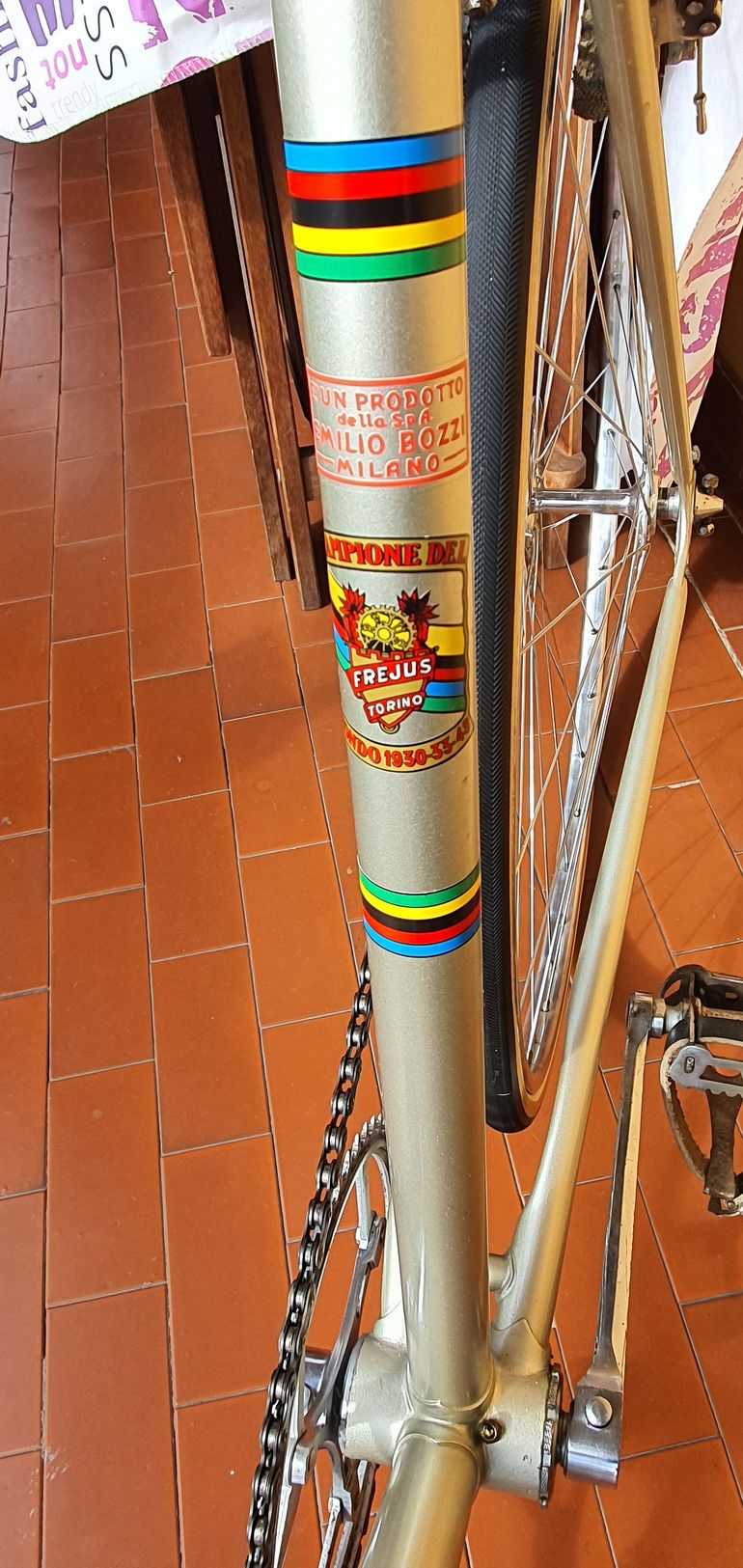 Used Frejus Campione 1947 1967 Road & Gravel, Green — image 1 of 16