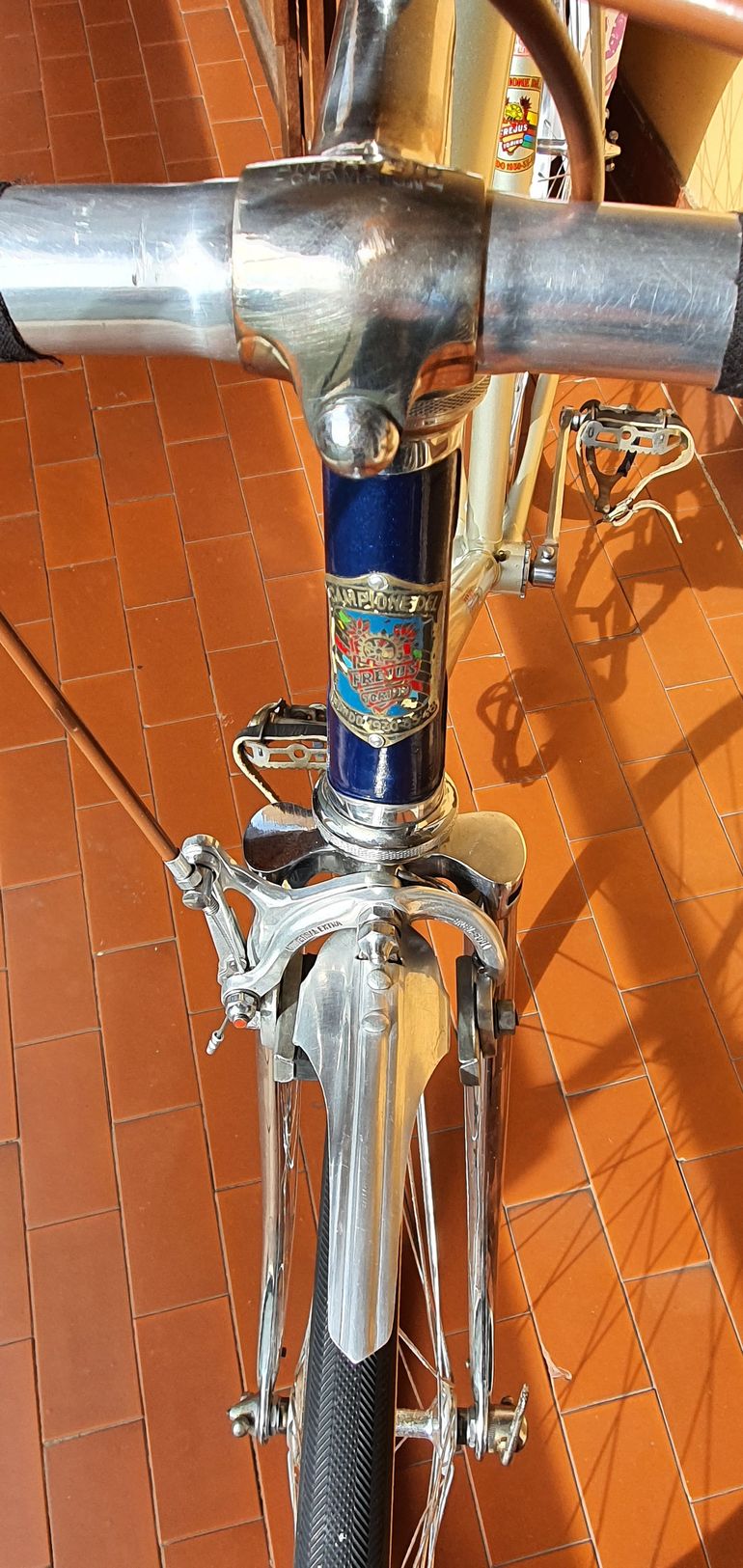 Used Frejus Campione 1947 1967 Road & Gravel, Green — image 4 of 16