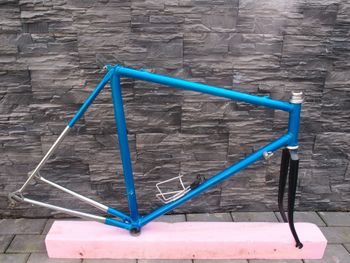 Francesco Moser, Leader Frameset