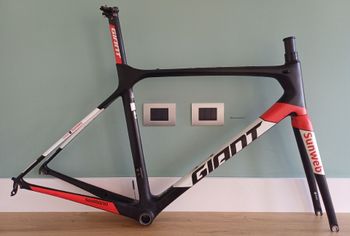 Giant, TCR Advanced Pro Team 2018 Frameset