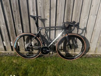 Trek, Madone SL 6 Gen 8 2025