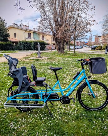 Xtracycle, Xtracycle Custom