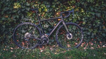 Specialized, Specialized Diverge Comp