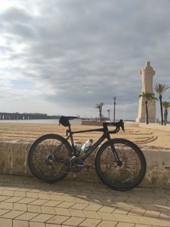 Megamo, RAISE 05 2021