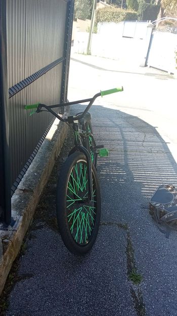 sebike, Sebike Custom