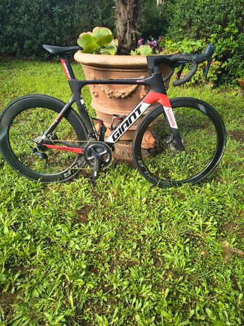 Giant, Propel Advanced 1 Disc 2019