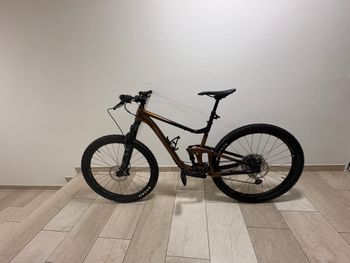 Giant, Giant Trance 29 1 Shimano Positron