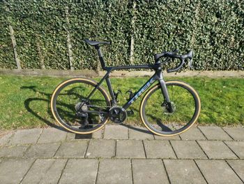 Trek, Madone SL 6 Gen 8 2025