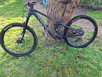 Canyon, Strive CFR 2024