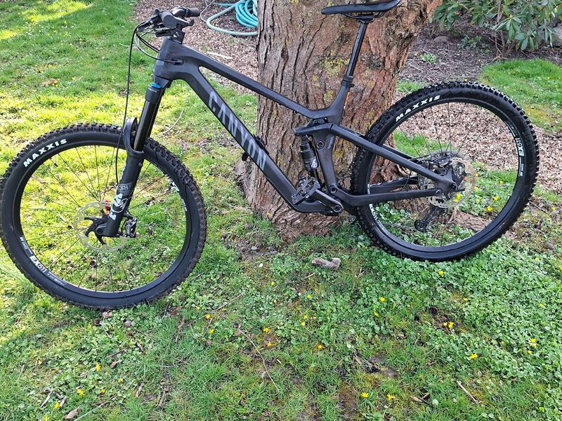 Used Canyon Strive CFR 2024 2024 MTB