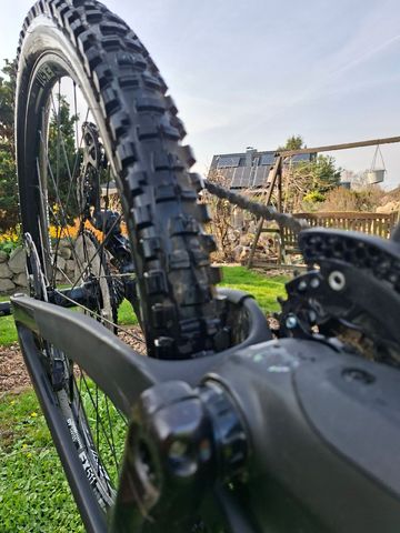 Used Canyon Strive CFR 2024 2024 Mountainbike, Black, 29 — image 4 of 10