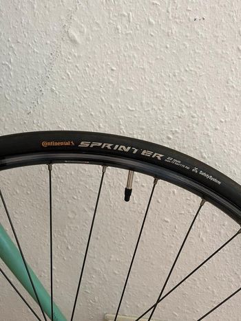 Used Bianchi Bianchi Custom Campagnolo Record 2003 Road & Gravel, Black — image 5 of 14