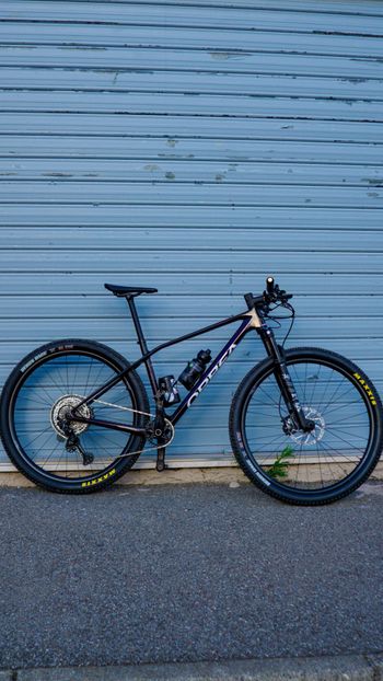 Orbea, ALMA M20 2024