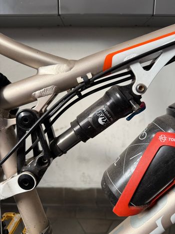 Used Focus Super Bud 3.0 2012 2012 Mountainbike, White — image 2 of 10