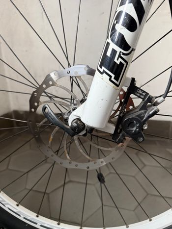 Used Focus Super Bud 3.0 2012 2012 Mountainbike, White — image 8 of 10