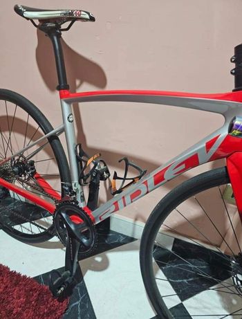 Ridley, Fenix SL Disc - Shimano Ultegra 2x11sp 2021