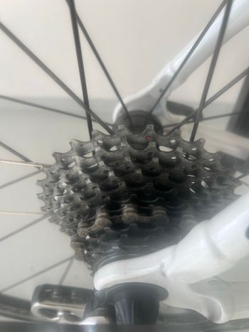 Used Colnago CLX Disc Campagnolo Chorus 2018 Road & Gravel, Red — image 3 of 5