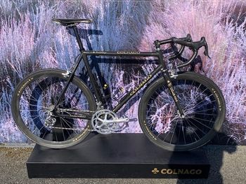 Colnago, C 40 Gold