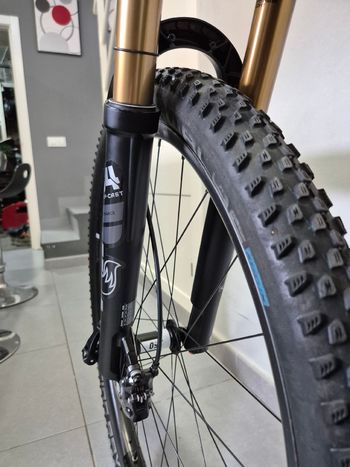 Used Orbea OIZ M PRO 2022 2022 Mountainbike, Black, 29 — image 4 of 10