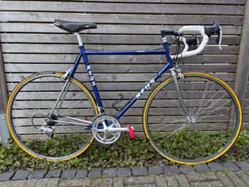 reus, Reus Custom Campagnolo Athena